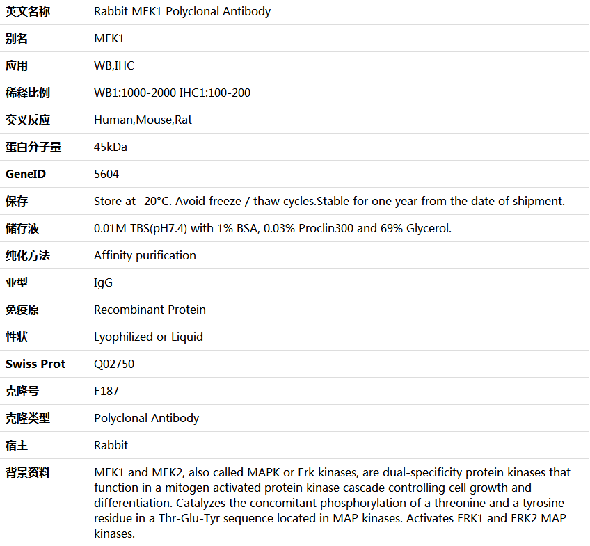 MEK1 Antibody,索莱宝,K000501P-100ul