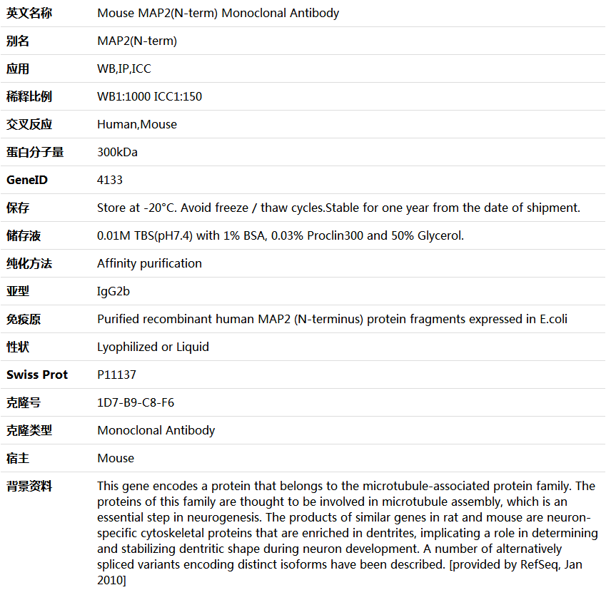 MAP2(N-term) Antibody,索莱宝,K000031M-100ul