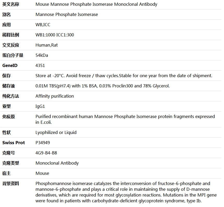 Mannose Phosphate Isomerase Antibody,索莱宝,K000021M-50ul