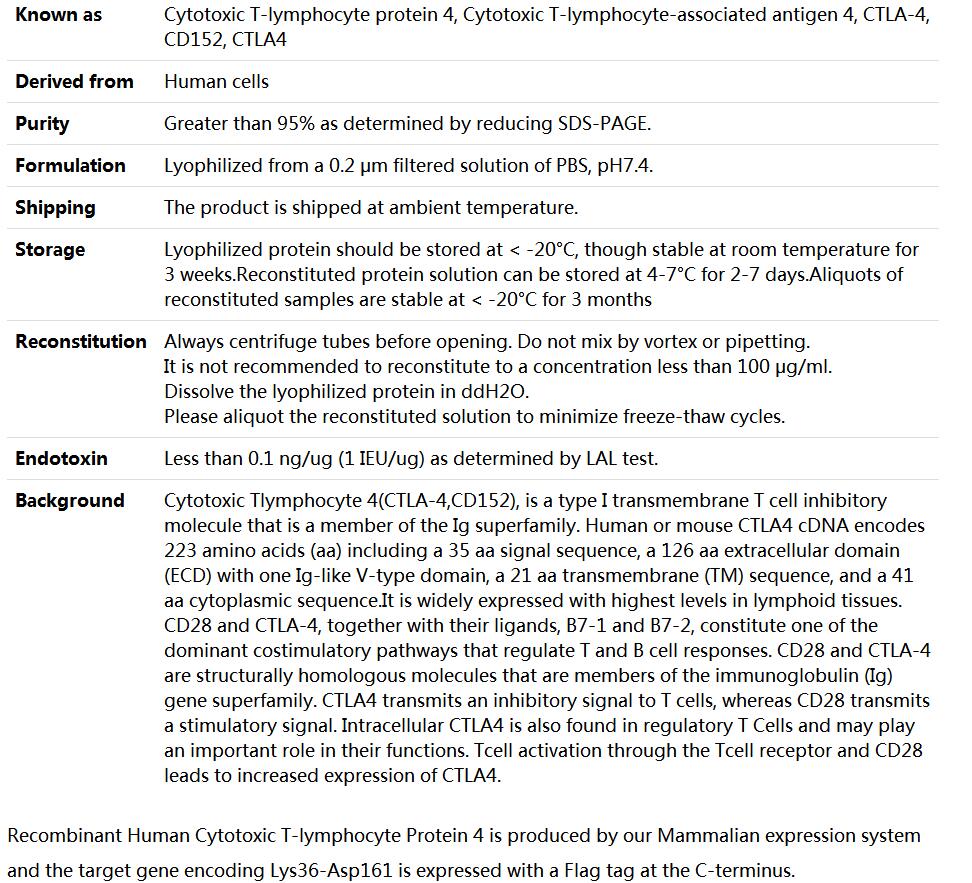 Recombinant Human Cytotoxic T-lymphocyte Protein 4(C-Flag),索莱宝,P00235-50ug