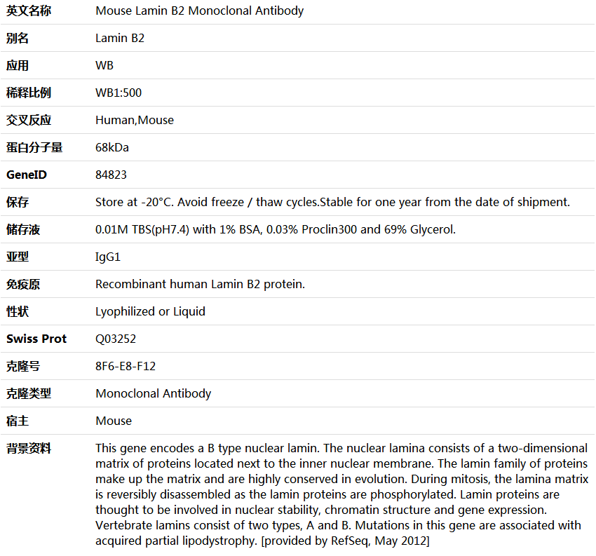 Lamin B2 Antibody,索莱宝,K000182M-100ul