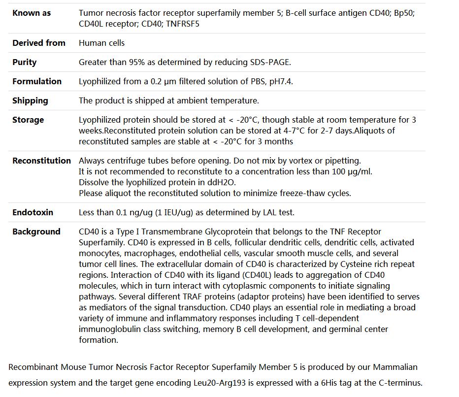 Recombinant Mouse Tumor Necrosis Factor Receptor Superfamily Member 5/CD40,索莱宝,P00234-500ug