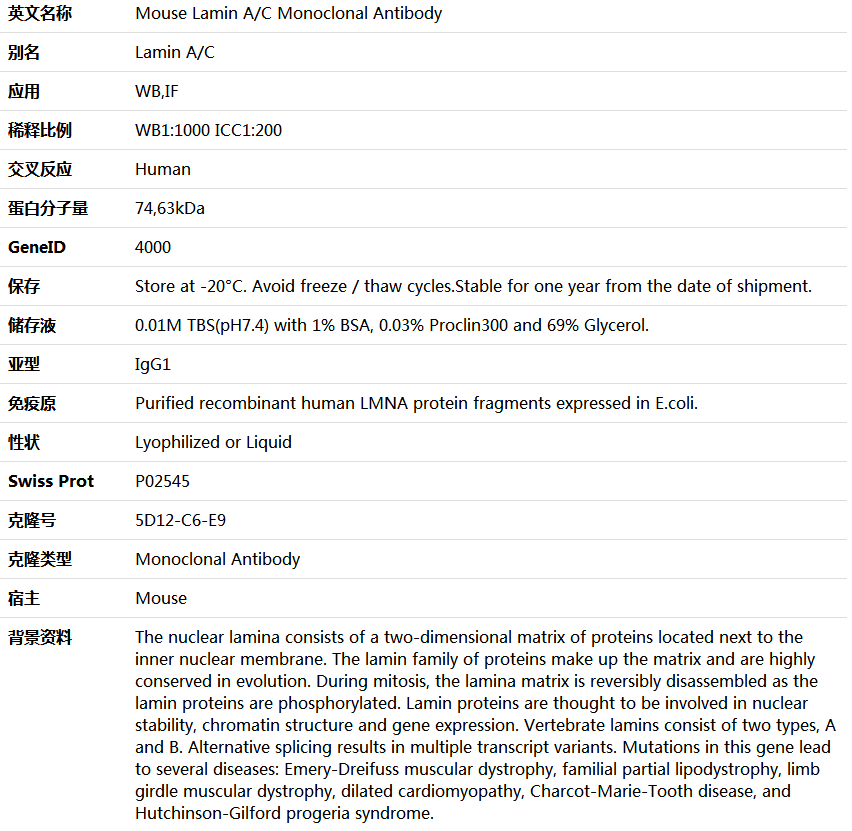 Lamin A/C Antibody,索莱宝,K000143M-100ul