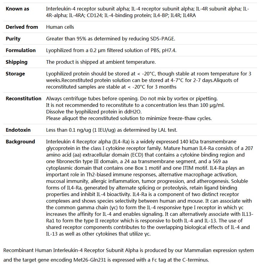 Recombinant Human Interleukin-4 Receptor Subunit Alpha/IL-4 Rα(Fc fusion),索莱宝,P00233-50ug