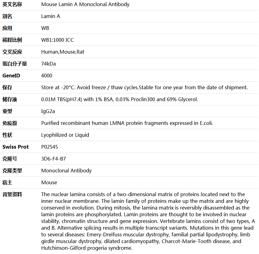 Lamin A Antibody,索莱宝,K000142M-100ul