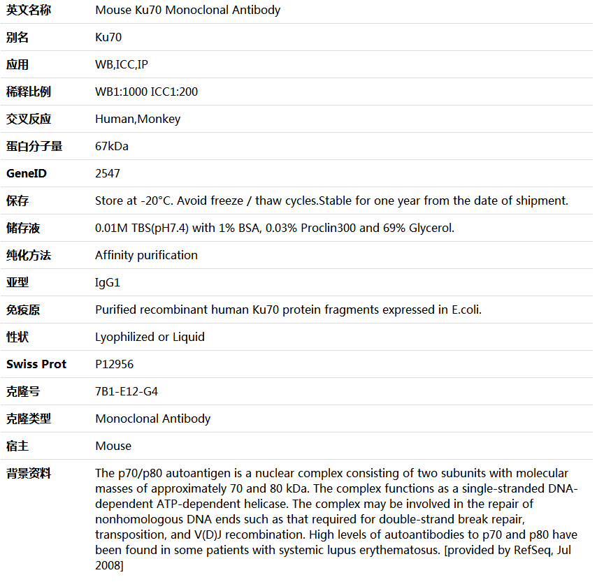 Ku70 Antibody,索莱宝,K000133M-50ul