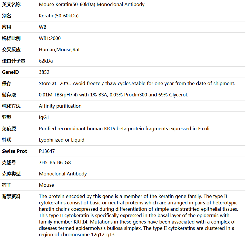 Keratin(50-60kDa) Antibody,索莱宝,K000141M-100ul