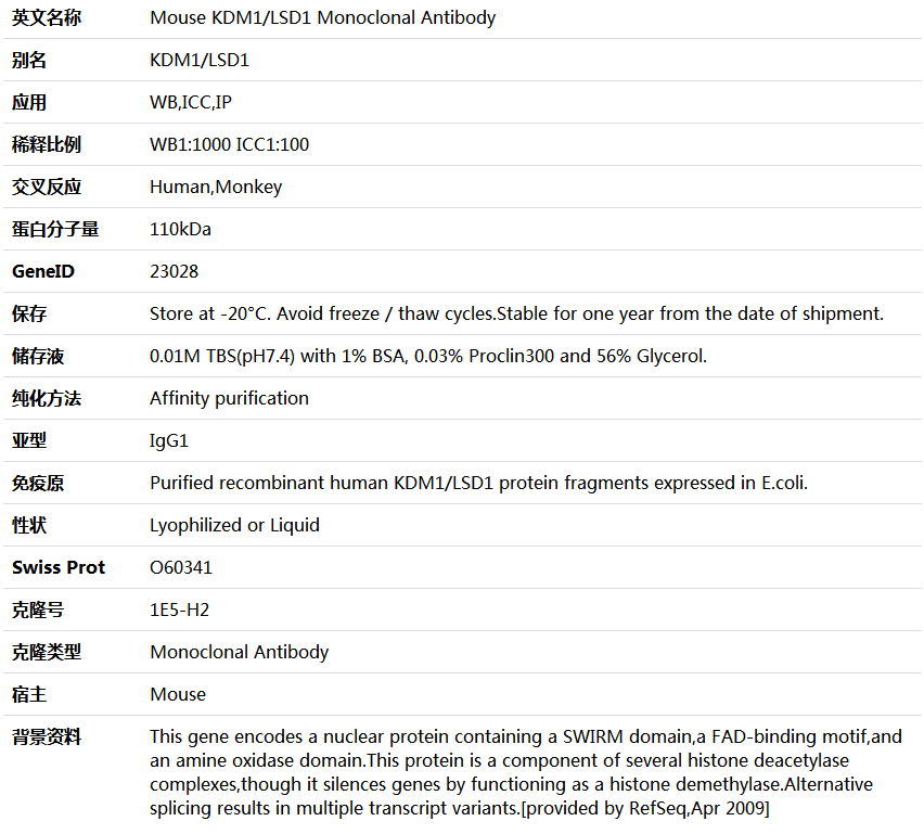 KDM1/LSD1 Antibody,索莱宝,K000005M-50ul