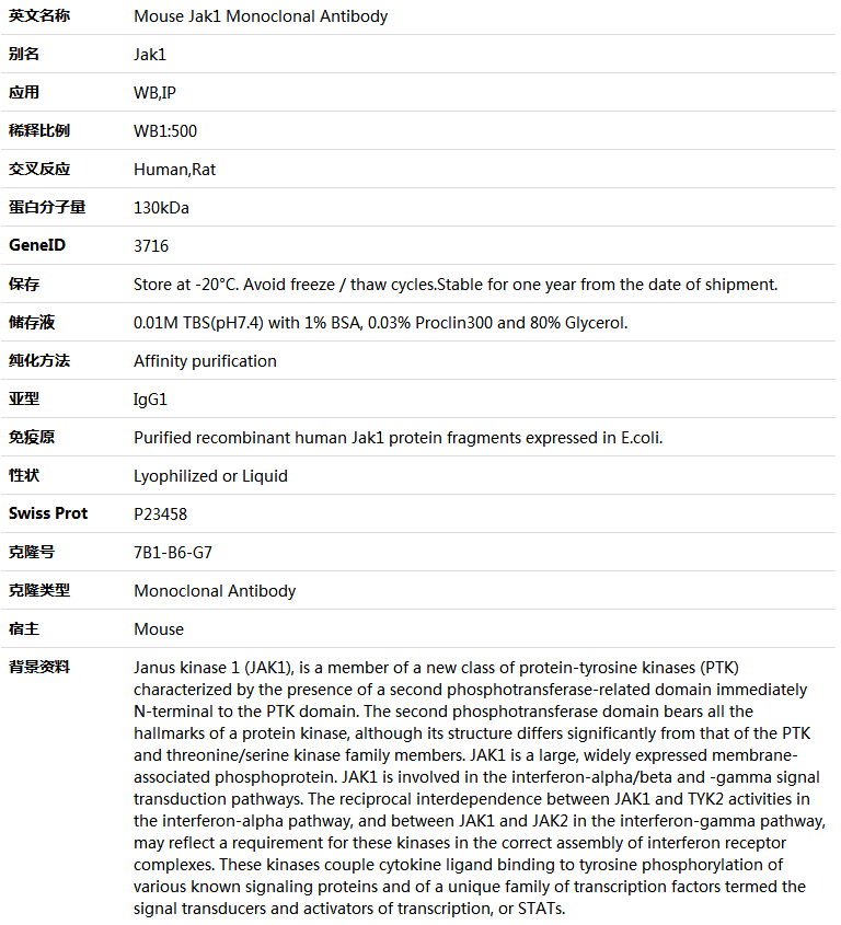 Jak1 Antibody,索莱宝,K000064M-50ul