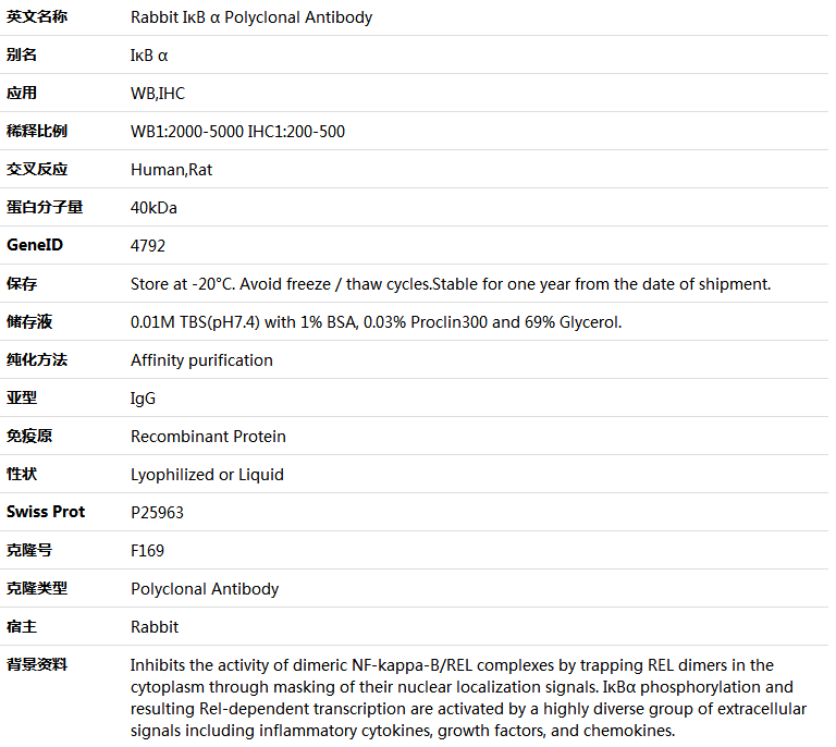 IκB α Antibody,索莱宝,K000498P-50ul