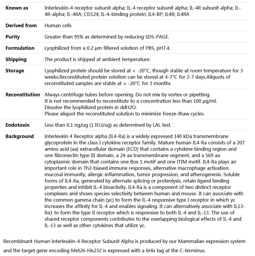 Recombinant Human Interleukin-4 Receptor Subunit Alpha/IL-4 Rα,索莱宝,P00231-10ug