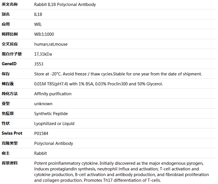 IL1B Antibody,索莱宝,K001295P-100ul