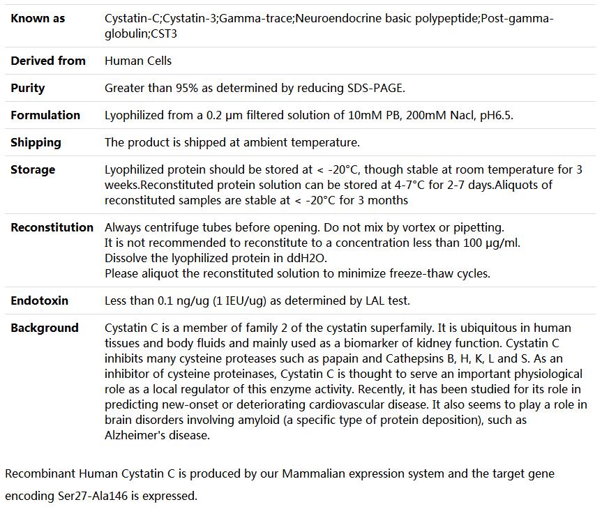 Recombinant Human Cystatin C/CST3,索莱宝,P00229-10ug