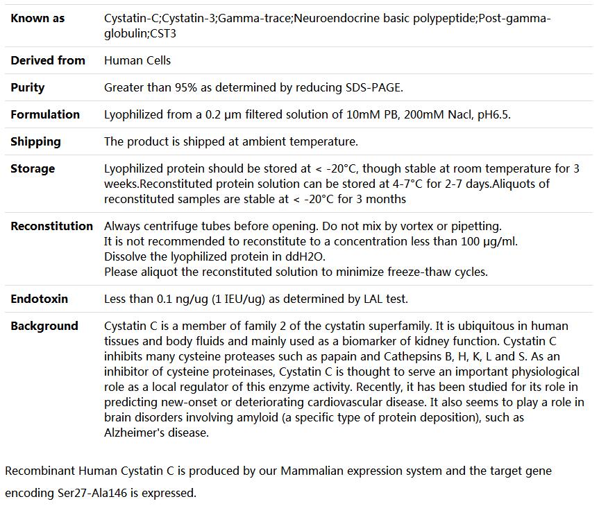 Recombinant Human Cystatin C/CST3,索莱宝,P00229-1mg