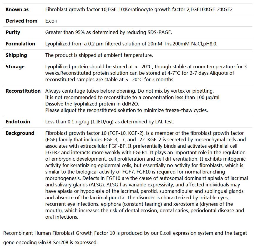 Recombinant Human Fibroblast growth factor 10/FGF10,索莱宝,P00228-50ug