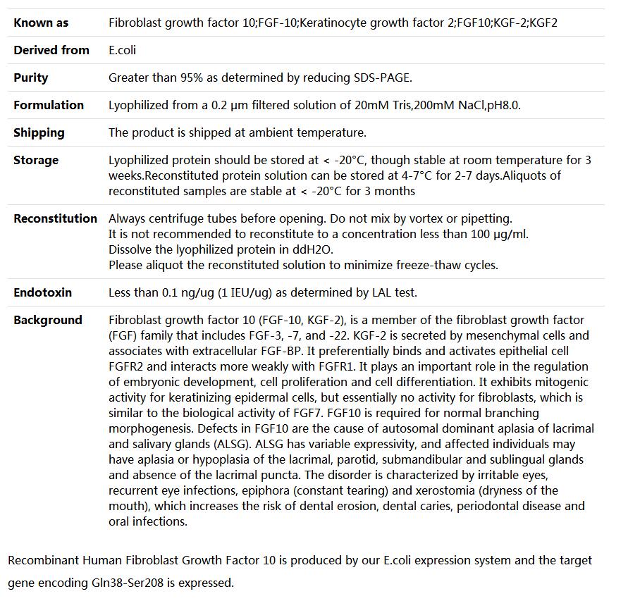 Recombinant Human Fibroblast growth factor 10/FGF10,索莱宝,P00228-10ug