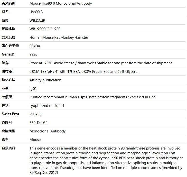Hsp90 β Antibody,索莱宝,K000132M-100ul