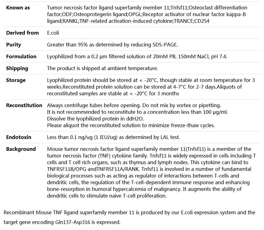 Recombinant Mouse TRANCE/RANK L/TNFSF11,索莱宝,P00226-1mg