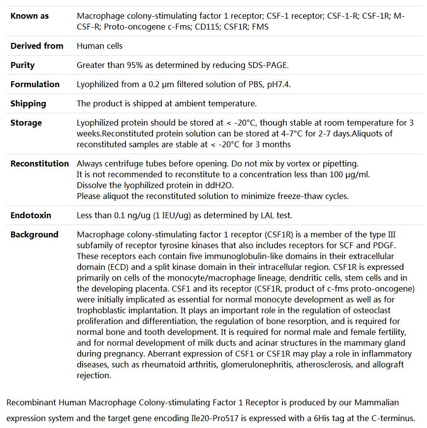 Recombinant Human Macrophage Colony-stimulating Factor 1 Receptor/M-CSF R/CSF1R/CD115,索莱宝,P00225-500