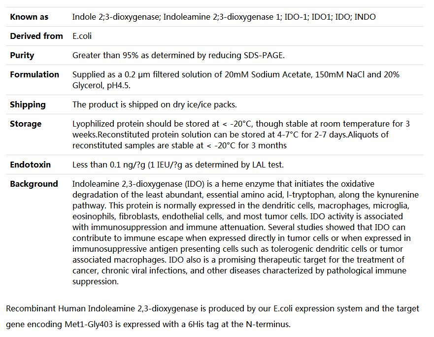 Recombinant Human Indoleamine 2,3-Dioxygenase/IDO/INDO,索莱宝,P00222-10ug