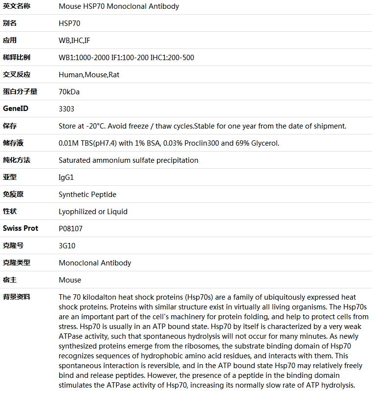HSP70 Antibody,索莱宝,K000194M-100ul