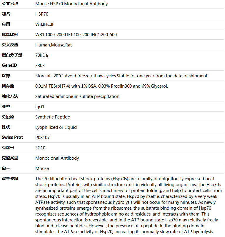 HSP70 Antibody,索莱宝,K000194M-50ul