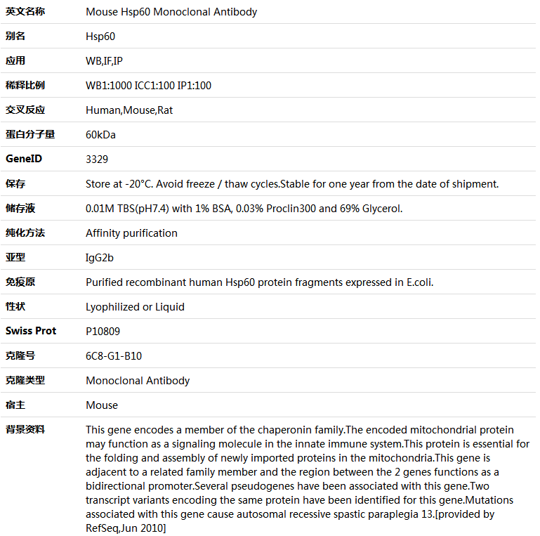 Hsp60 Antibody,索莱宝,K000150M-50ul