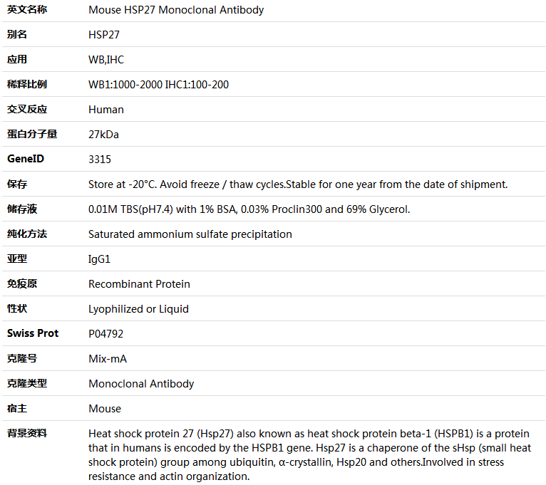 HSP27 Antibody,索莱宝,K000229M-100ul