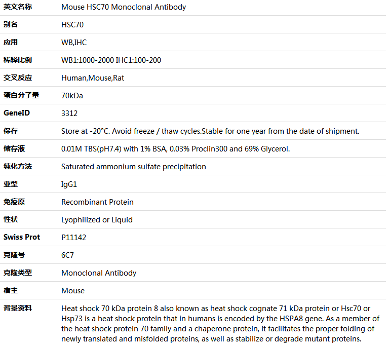 HSC70 Antibody,索莱宝,K000230M-100ul