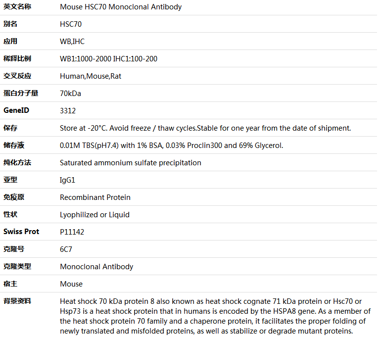 HSC70 Antibody,索莱宝,K000230M-50ul