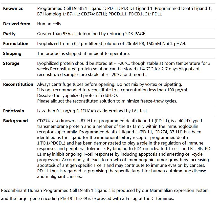 Recombinant Human PD-L1/B7-H1/CD274(Fc fusion),索莱宝,P00219-1mg