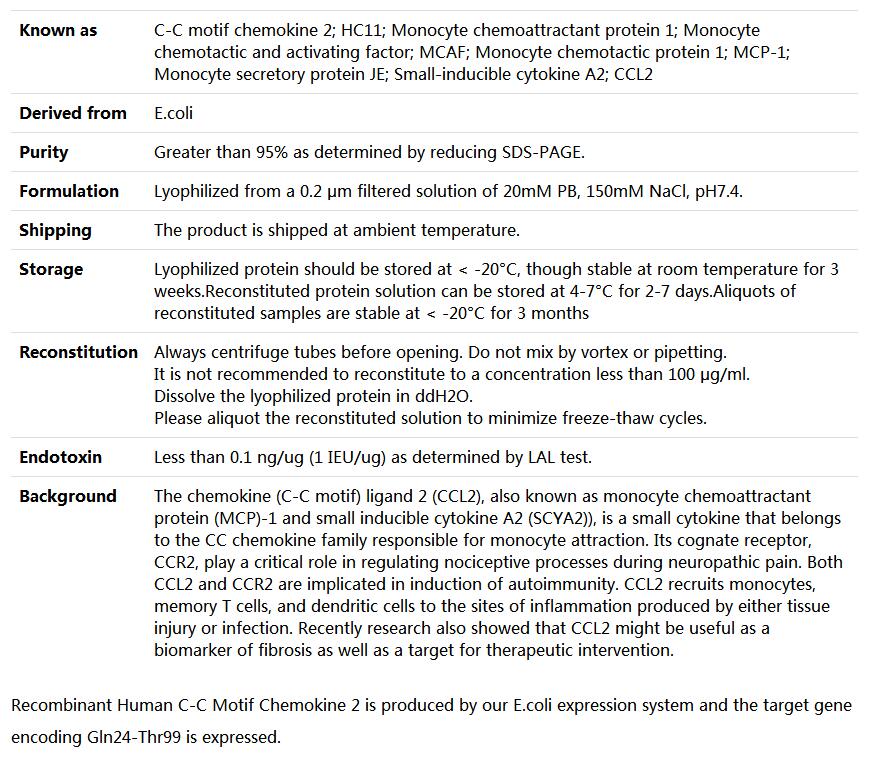 Recombinant Human C-C Motif Chemokine 2/CCL2/MCP-1,索莱宝,P00218-1mg