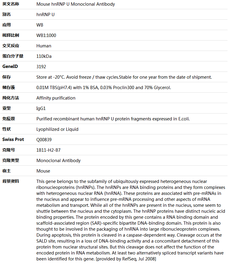 hnRNP U Antibody,索莱宝,K000059M-50ul