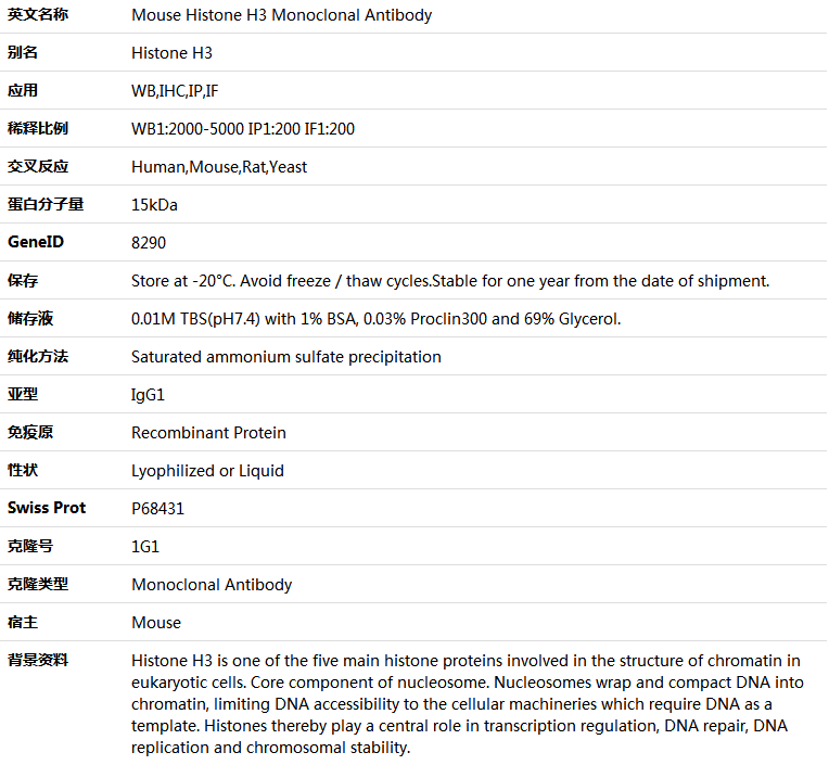 Histone H3 Antibody,索莱宝,K000193M-100ul