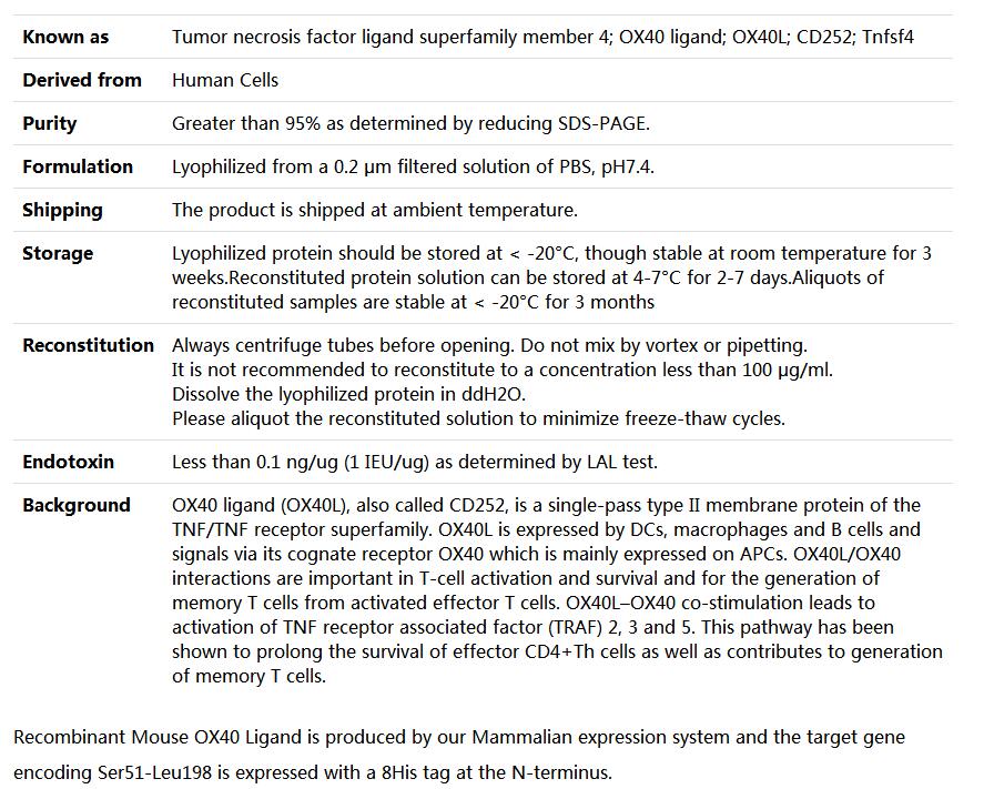 Recombinant Mouse OX40 Ligand/TNFSF4/OX40L,索莱宝,P00216-50ug