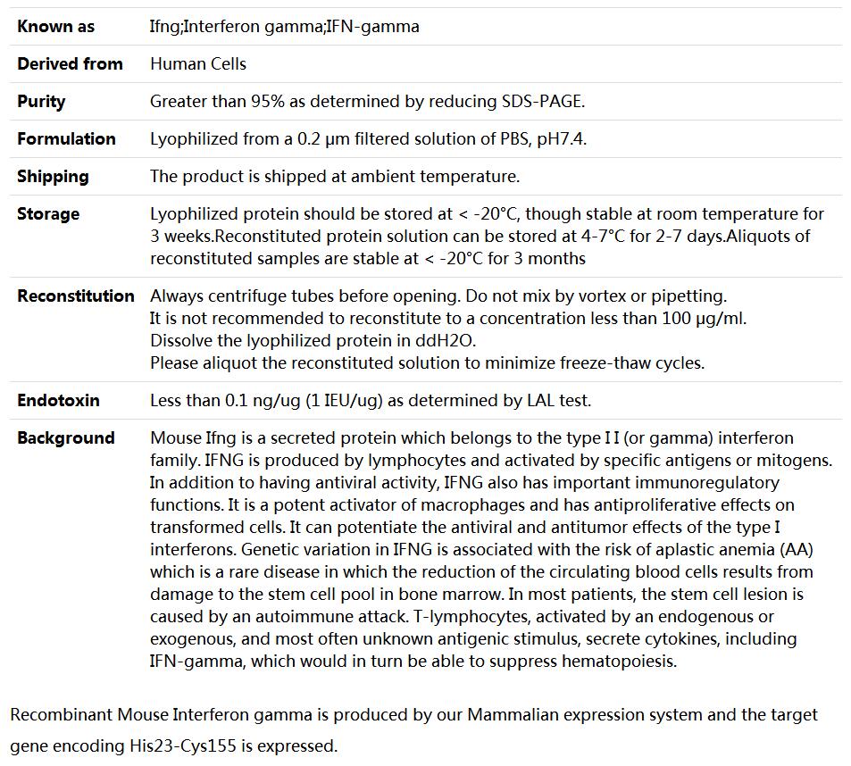 Recombinant Mouse Interferon γ/IFN-γ/IFNg,索莱宝,P00215-10ug