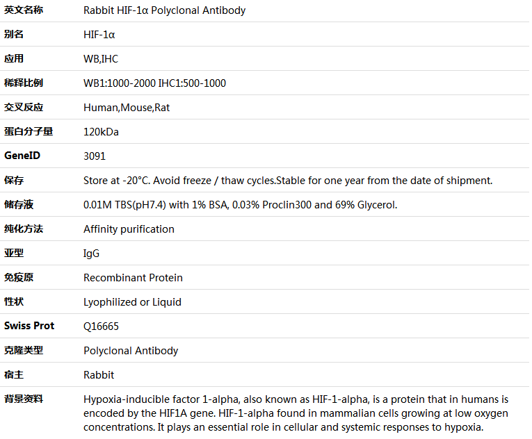 HIF-1α Antibody,索莱宝,K000487P-50ul