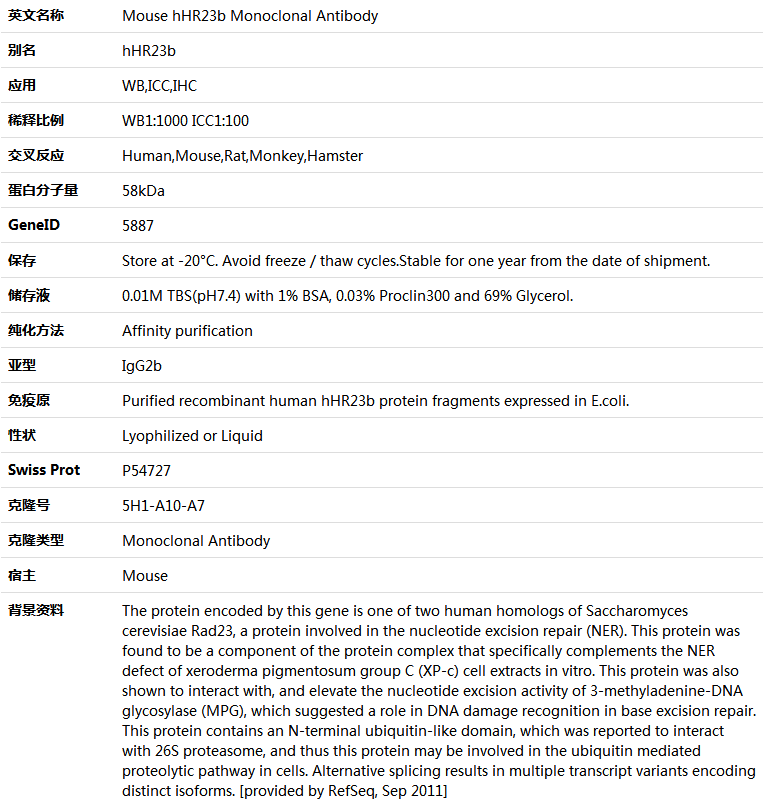 hHR23b Antibody,索莱宝,K000127M-50ul