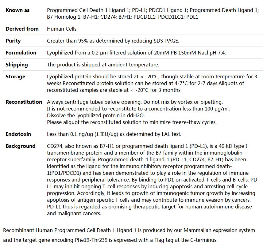 Recombinant Human PD-L1/B7-H1/CD274 (C-Flag),索莱宝,P00213-50ug