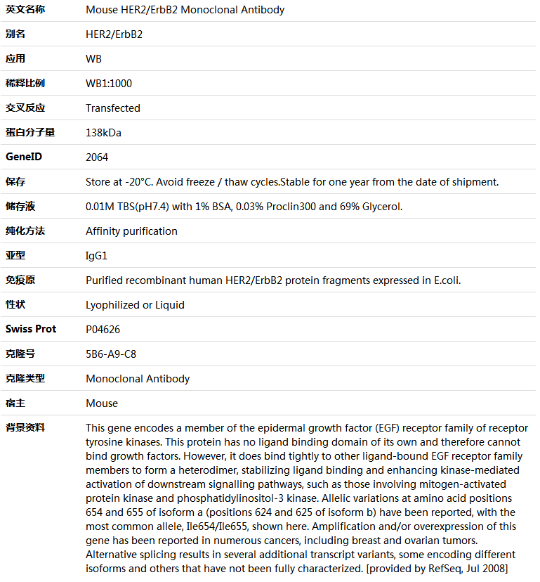 HER2/ErbB2 Antibody,索莱宝,K000166M-50ul