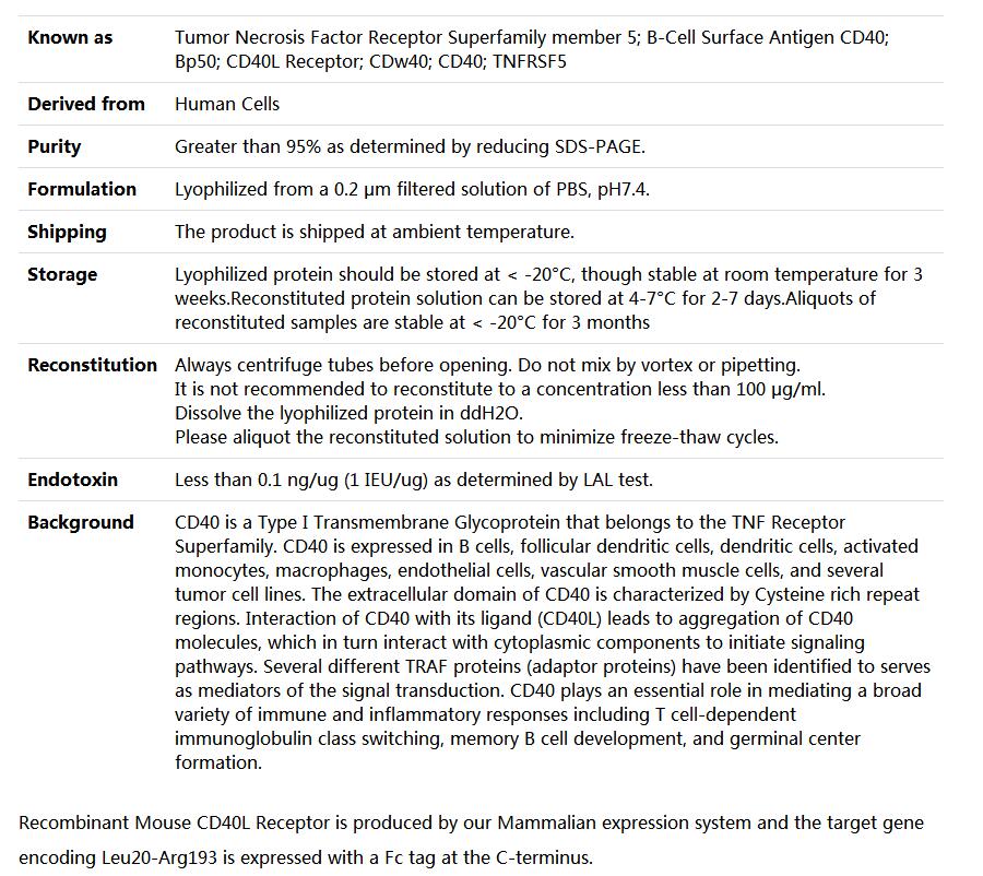 Recombinant Mouse CD40/TNFRSF5/CD40L Receptor,索莱宝,P00212-10ug