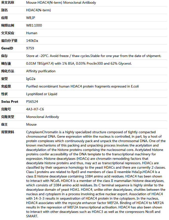 HDAC4(N-term) Antibody,索莱宝,K000010M-100ul