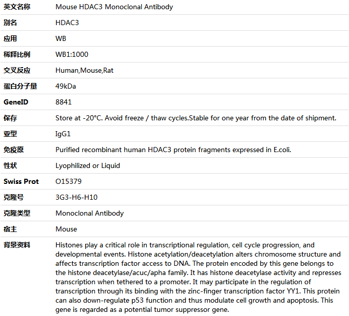 HDAC3 Antibody,索莱宝,K000078M-100ul