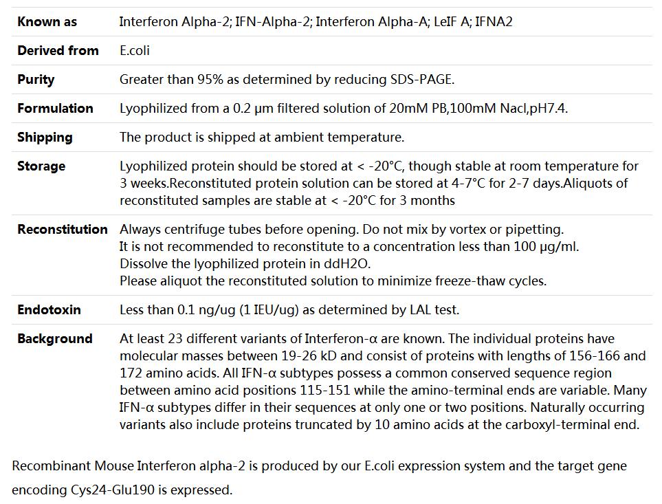 Recombinant Mouse Interferon α-2,索莱宝,P00209-1mg