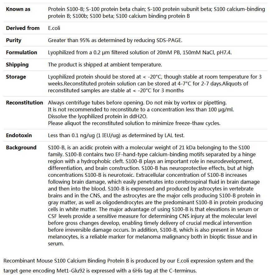 Recombinant Mouse S100 Calcium Binding Protein B/S100B,索莱宝,P00208-500ug