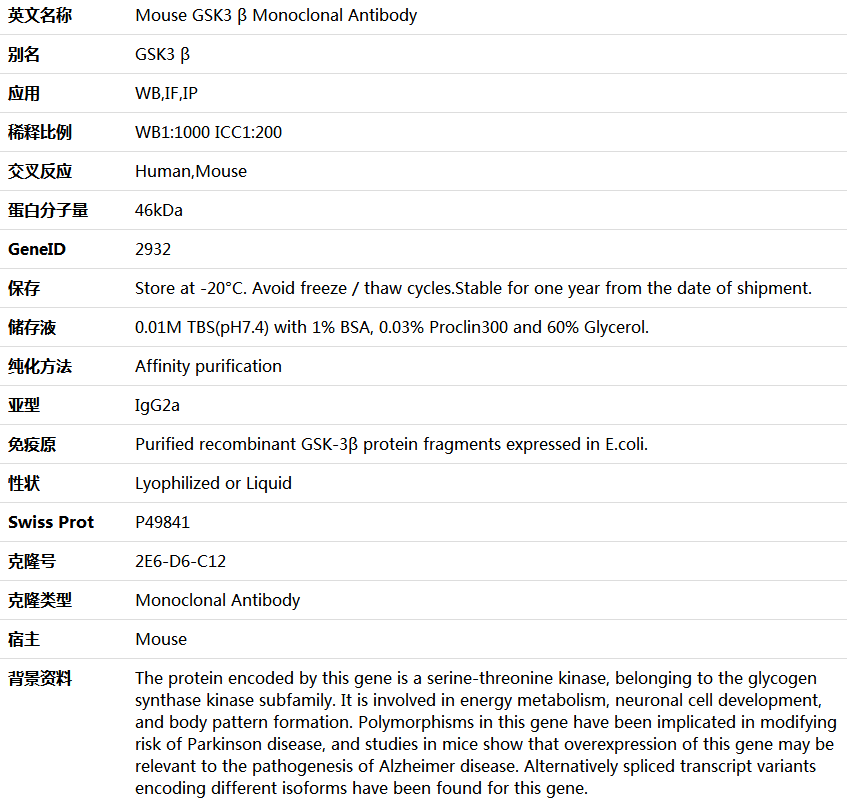 GSK3 β Antibody,索莱宝,K000041M-100ul