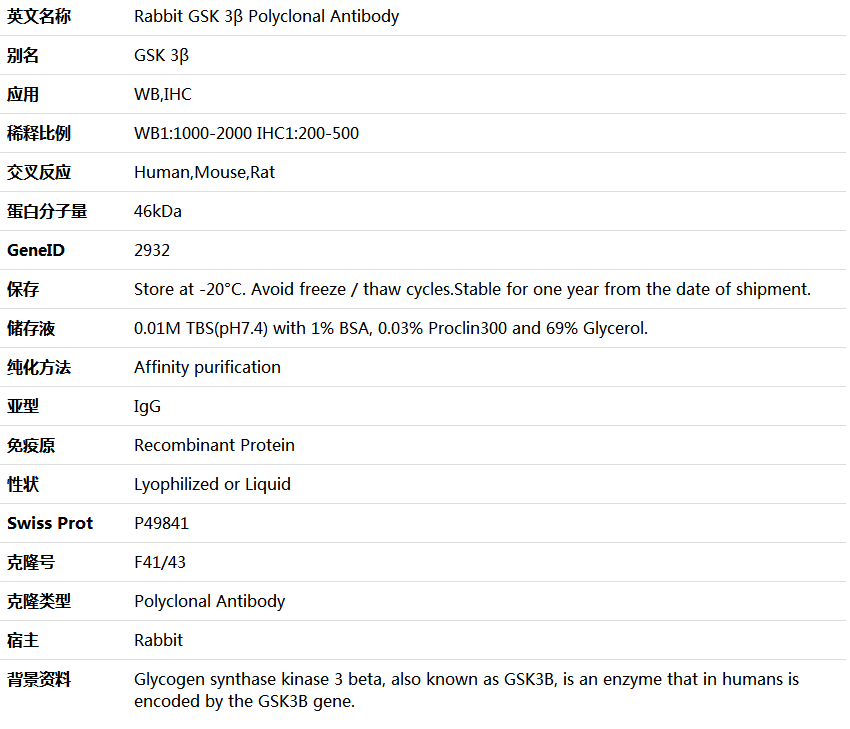 GSK 3β Antibody,索莱宝,K000492P-100ul