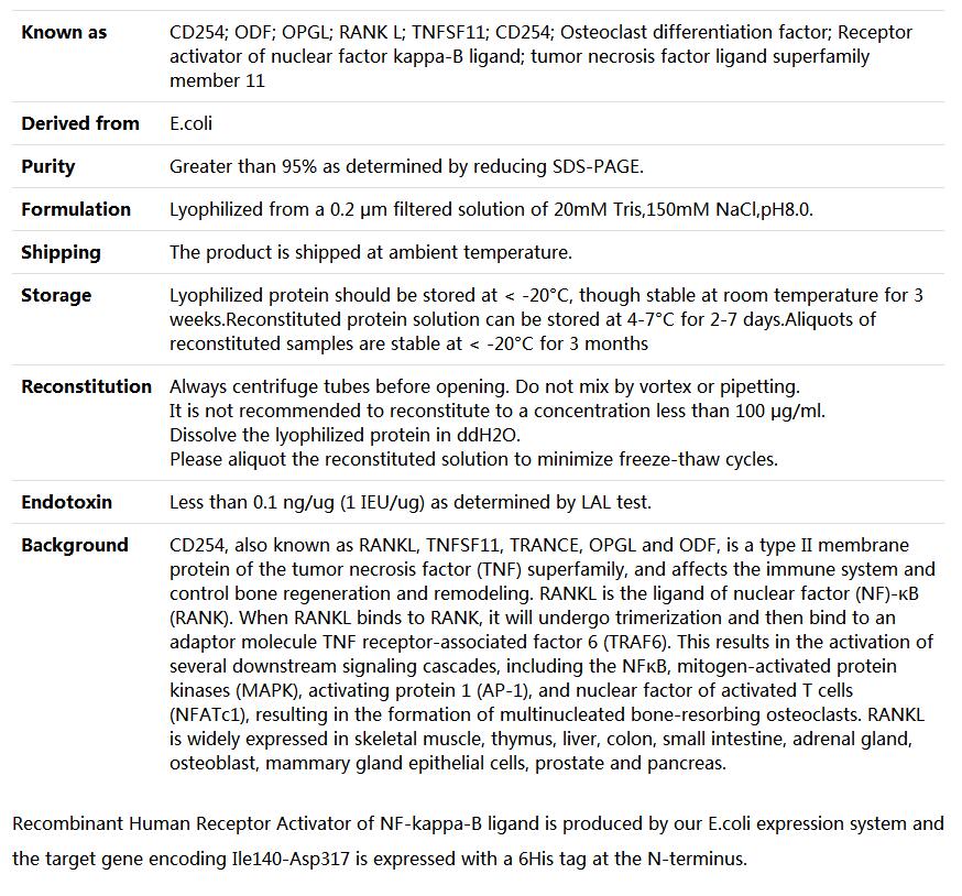 Recombinant Human TRANCE/RANK L/TNFSF11/CD254,索莱宝,P00206-1mg