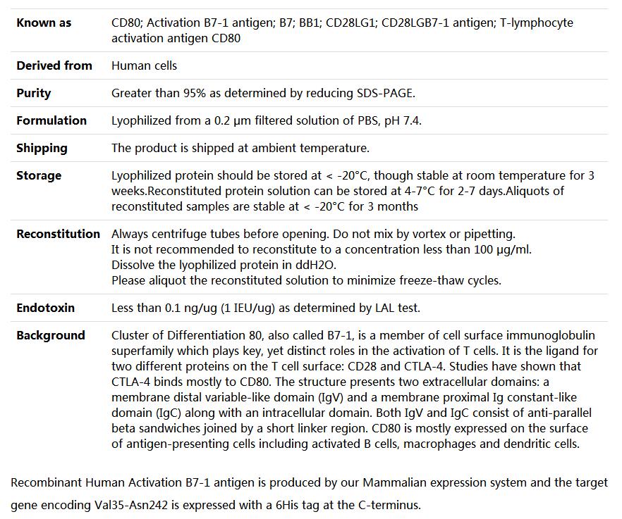 Recombinant Human B7-1/CD80,索莱宝,P00204-1mg