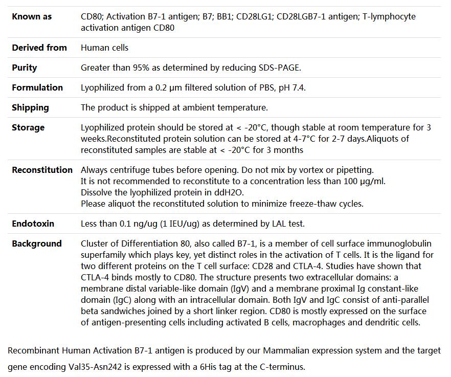 Recombinant Human B7-1/CD80,索莱宝,P00204-10ug